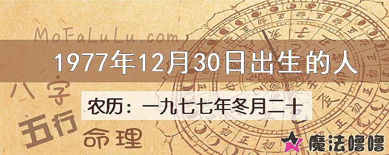 1977年12月30日出生的八字怎么样？