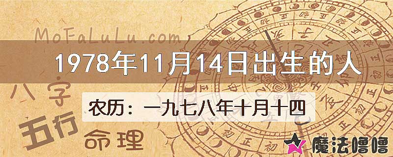 1978年11月14日出生的八字怎么样？