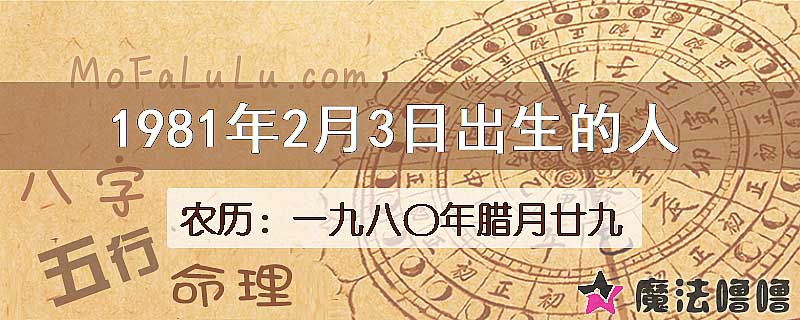 1981年2月3日出生的八字怎么样？