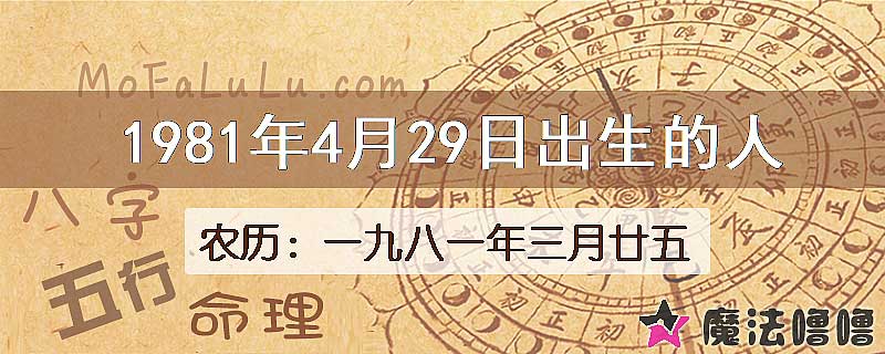 1981年4月29日出生的八字怎么样？