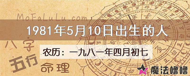 1981年5月10日出生的八字怎么样？