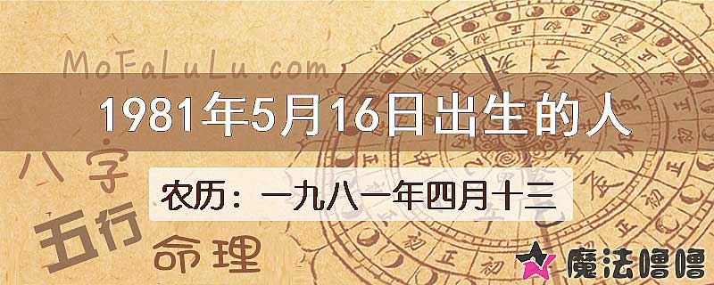 1981年5月16日出生的八字怎么样？