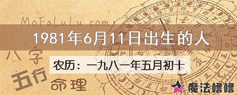 1981年6月11日出生的八字怎么样？