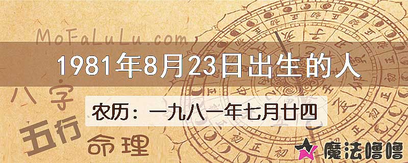 1981年8月23日出生的八字怎么样？