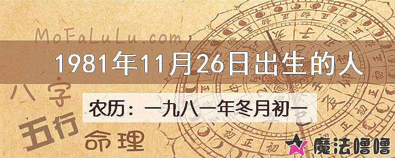 1981年11月26日出生的八字怎么样？