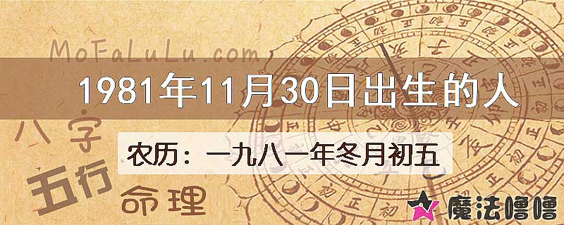 1981年11月30日出生的八字怎么样？