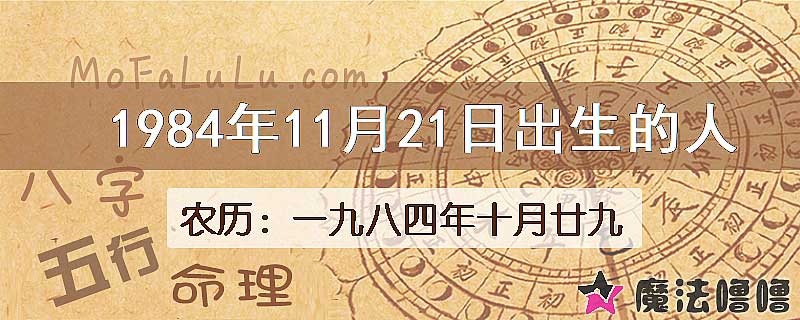 1984年11月21日出生的八字怎么样？