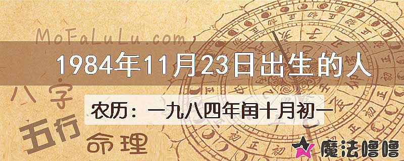 1984年11月23日出生的八字怎么样？