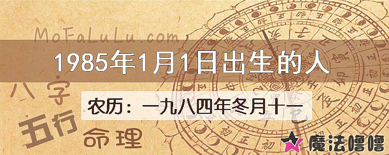 1985年1月1日出生的八字怎么样？