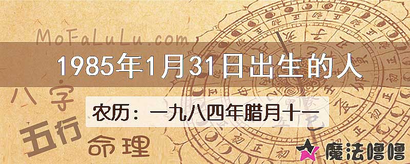 1985年1月31日出生的八字怎么样？