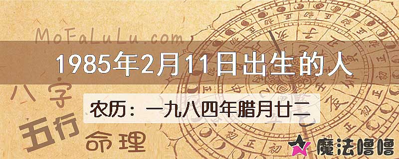 1985年2月11日出生的八字怎么样？