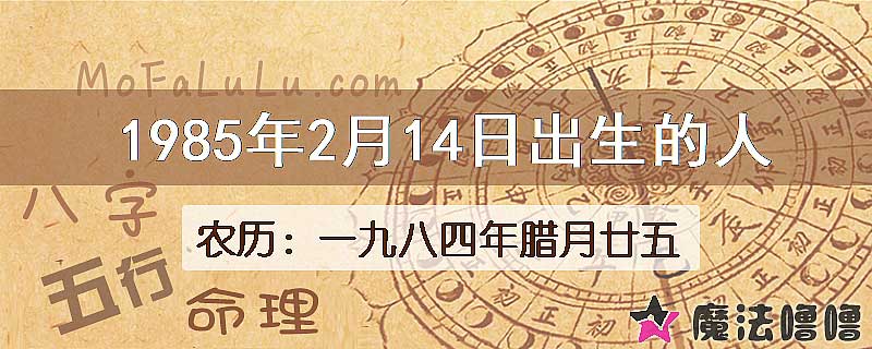 1985年2月14日出生的八字怎么样？