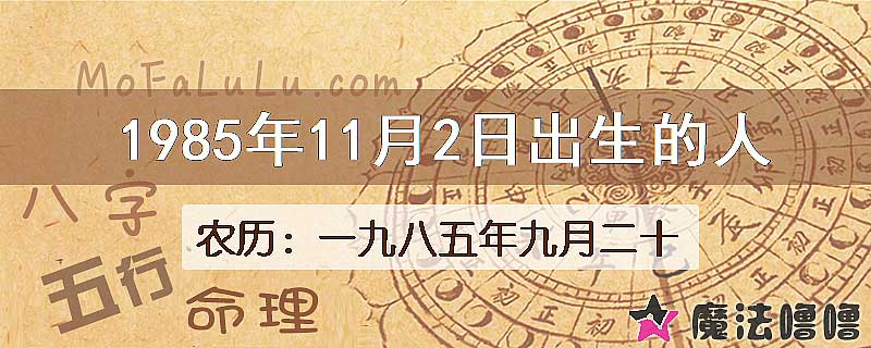 1985年11月2日出生的八字怎么样？