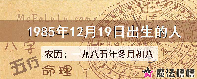 1985年12月19日出生的八字怎么样？