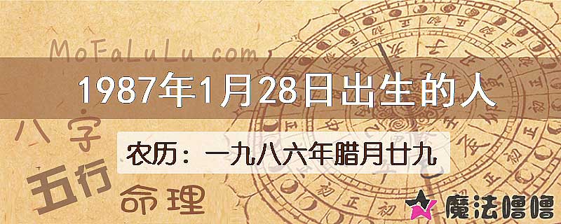 1987年1月28日出生的八字怎么样？