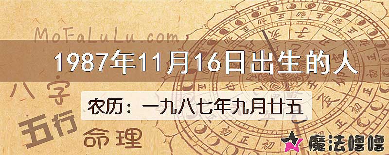 1987年11月16日出生的八字怎么样？