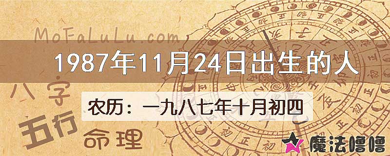 1987年11月24日出生的八字怎么样？