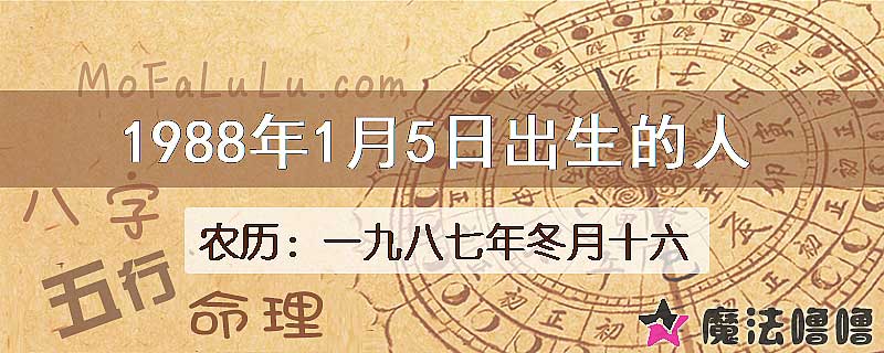 1988年1月5日出生的八字怎么样？