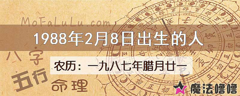 1988年2月8日出生的八字怎么样？