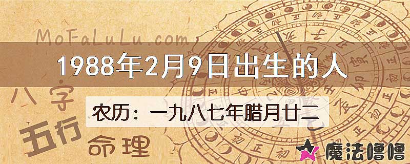 1988年2月9日出生的人