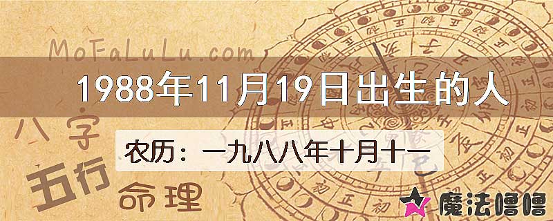 1988年11月19日出生的八字怎么样？