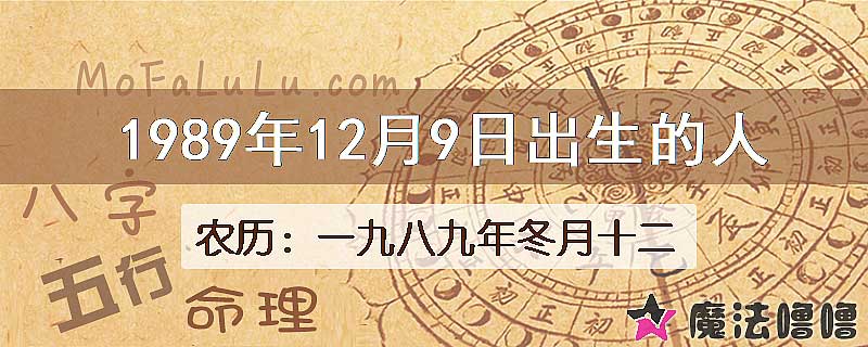 1989年12月9日出生的八字怎么样？