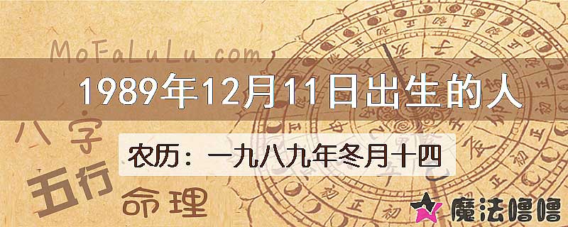 1989年12月11日出生的八字怎么样？