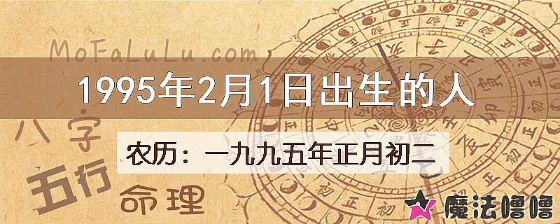 1995年2月1日出生的八字怎么样？