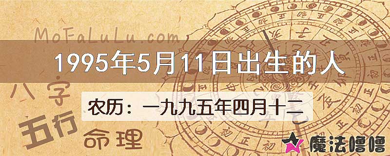 1995年5月11日出生的八字怎么样？