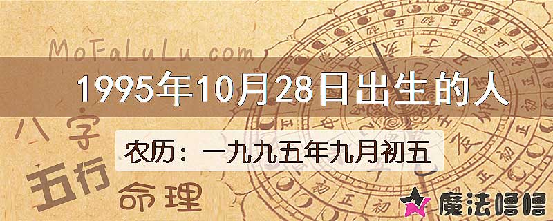 1995年10月28日出生的八字怎么样？