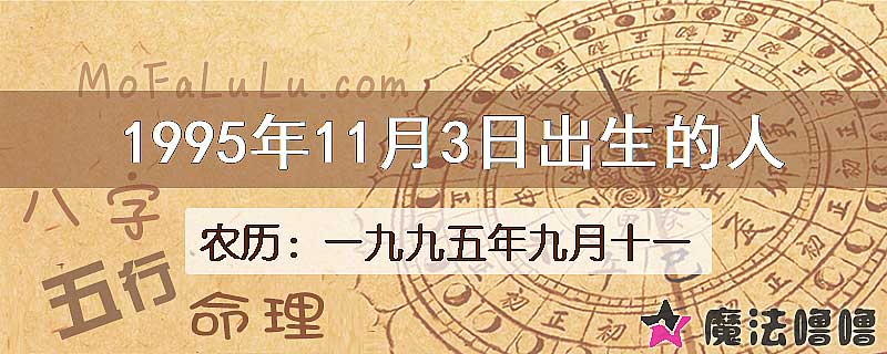 1995年11月3日出生的八字怎么样？