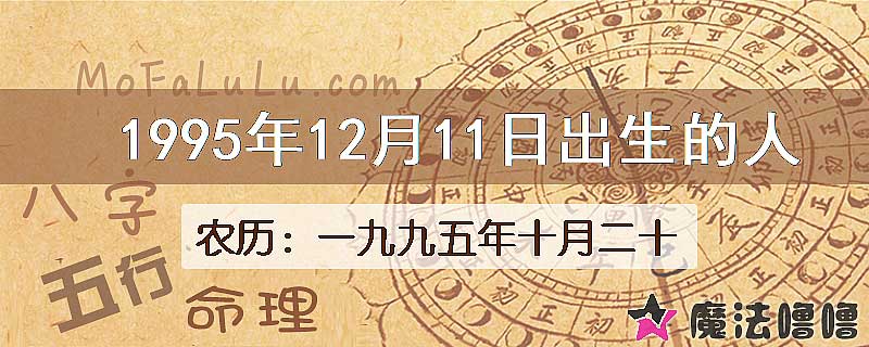 1995年12月11日出生的八字怎么样？