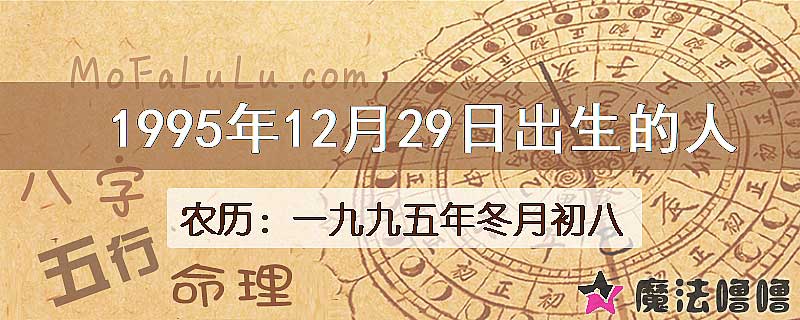 1995年12月29日出生的八字怎么样？