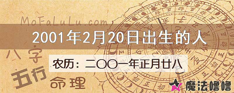 2001年2月20日出生的八字怎么样？