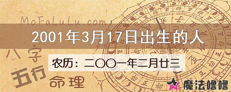 2001年3月17日出生的人