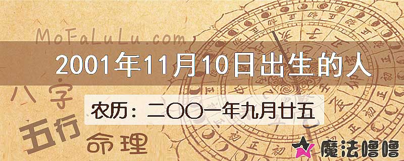 2001年11月10日出生的人