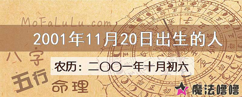 2001年11月20日出生的八字怎么样？