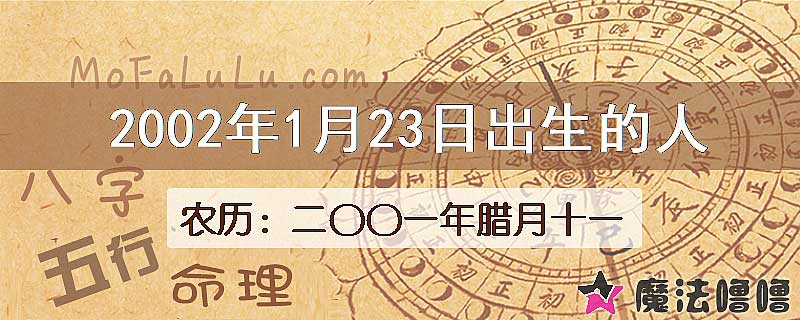 2002年1月23日出生的人