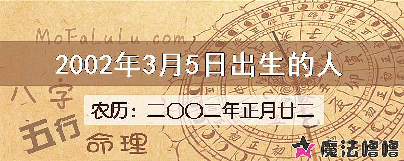 2002年3月5日出生的八字怎么样？