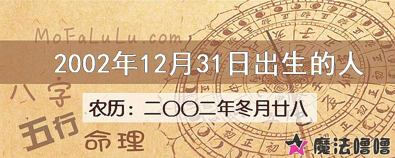 2002年12月31日出生的八字怎么样？