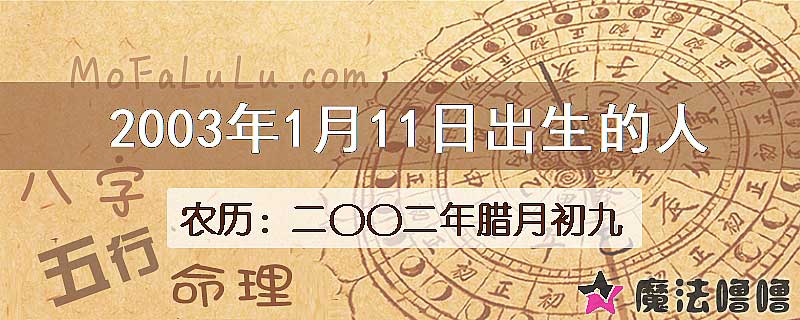 2003年1月11日出生的八字怎么样？