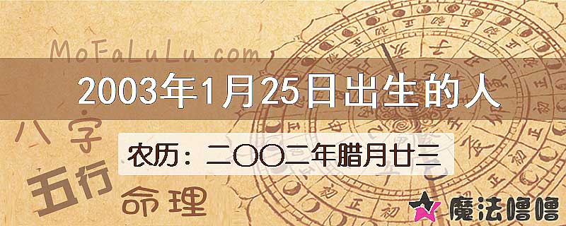 2003年1月25日出生的人