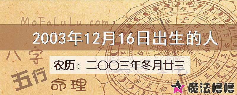 2003年12月16日出生的人