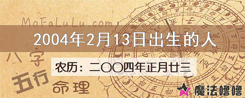 2004年2月13日出生的八字怎么样？