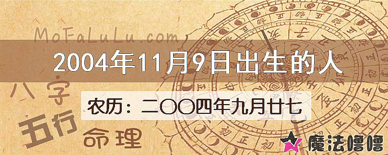 2004年11月9日出生的八字怎么样？