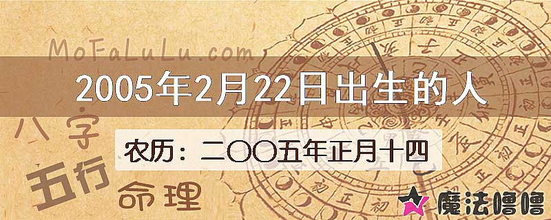 2005年2月22日出生的人