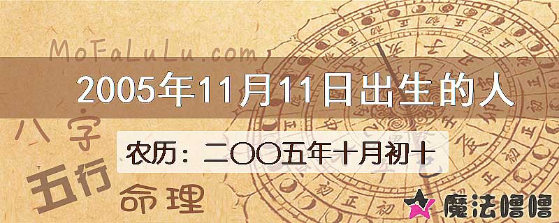 2005年11月11日出生的八字怎么样？