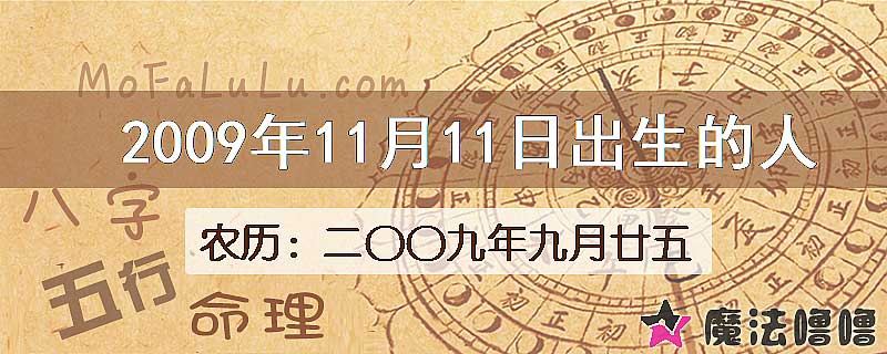 2009年11月11日出生的八字怎么样？