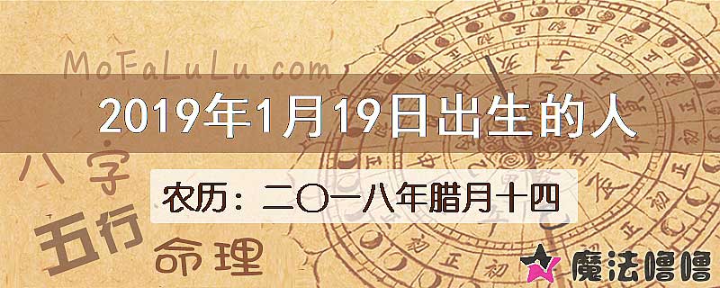 2019年1月19日出生的八字怎么样？