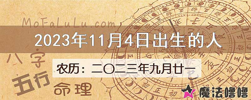 2023年11月4日出生的人